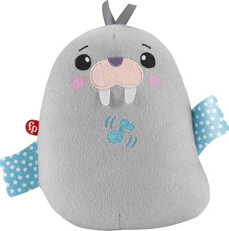 Fisher Price Soother Take Along Musical Vibrations