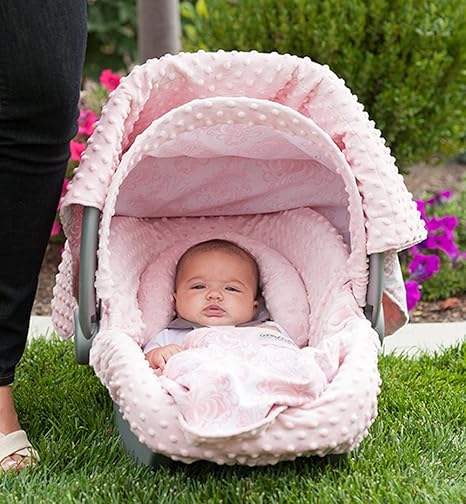 Carseat Canopy Caboodle Angelina Infant