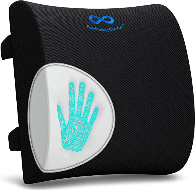 Back Cushion Lumbar Support Pillow